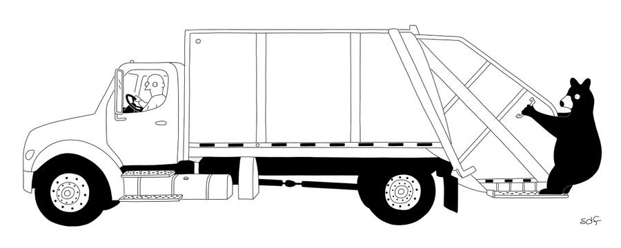 Bear hanging onto the back of a garbage truck.