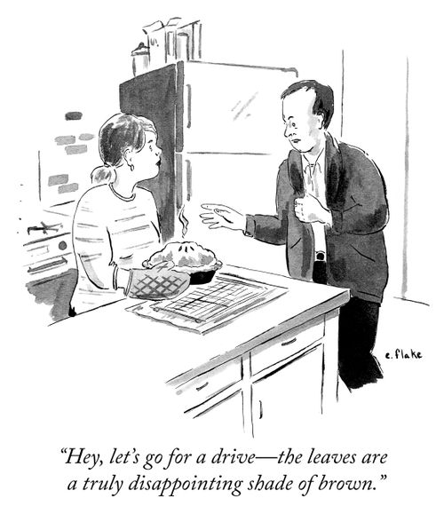 "Hey, let's go for a drive - the leaves are a truly disappointing shade of brown."