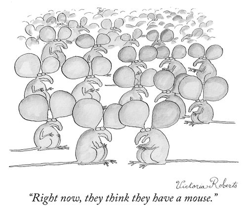 "Right now, they think they have a mouse."