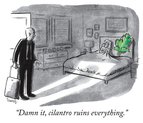 "Damn it, cilantro ruins everything."
