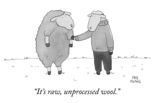 "It's raw, unprocessed wool."