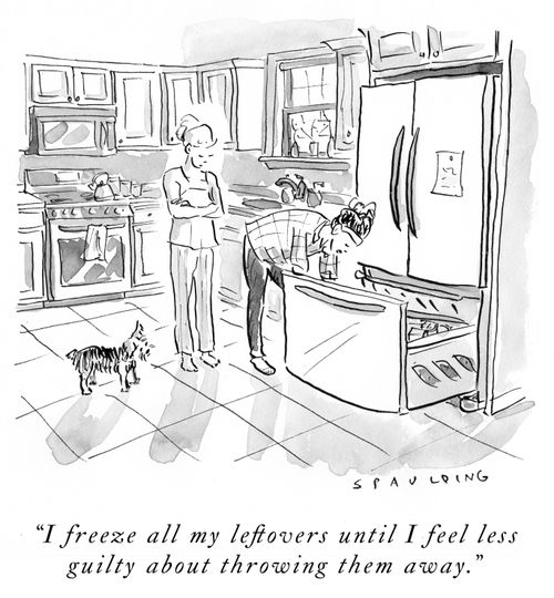 "I freeze all my leftovers until I feel less guilty about throwing them away."