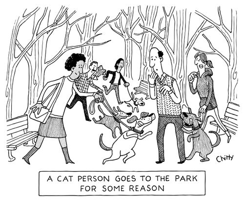 A cat person goes to the park for some reason
