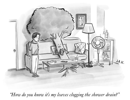 "How do you know it's my leaves clogging the shower drain?"