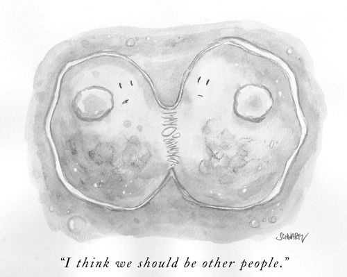 "I think we should be other people."