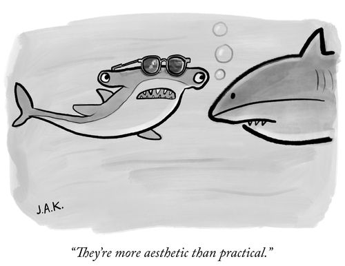"They're mire aesthetic than practical."