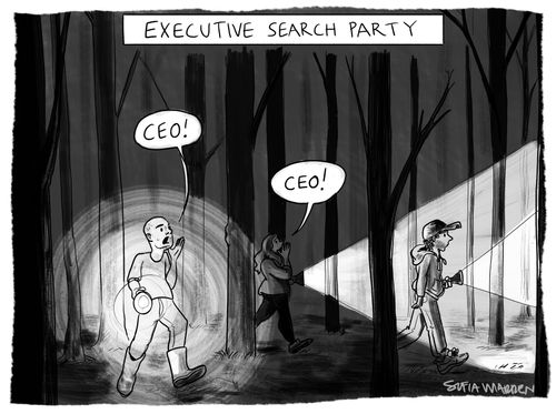 Executive search party