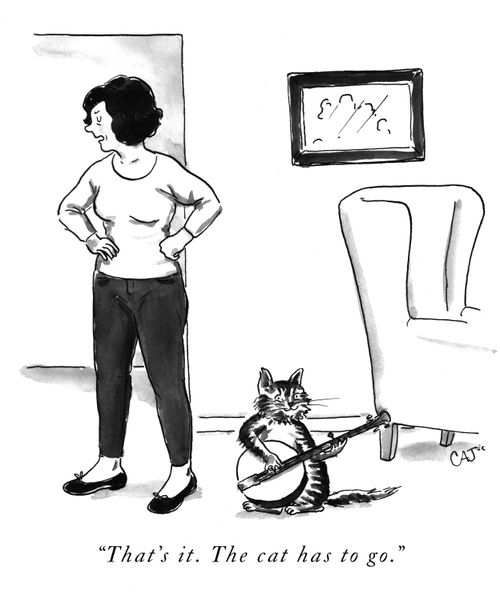 "That's it. The cat has to go."