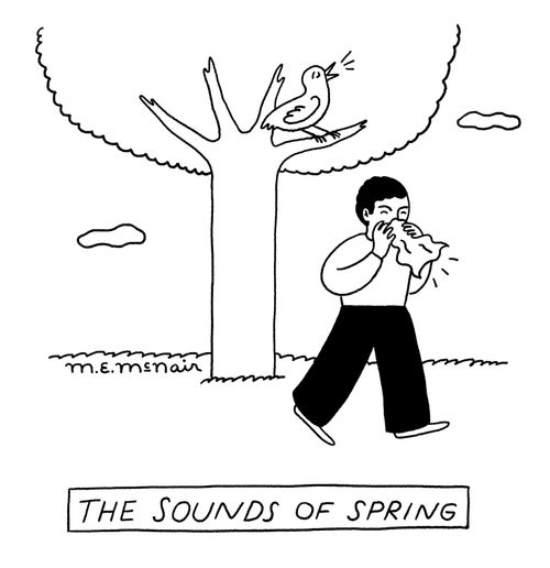 The sounds of spring.