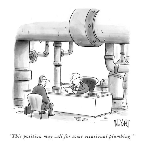 "This position may call for some occasional plumbing."