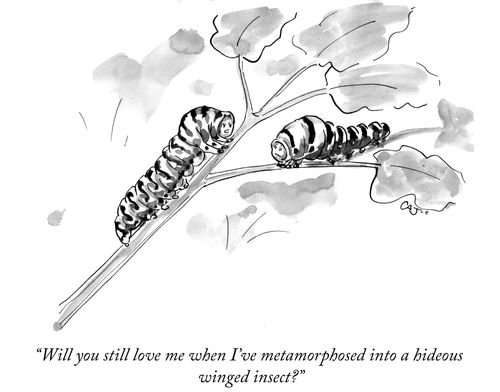 "Will you still love me when I've metamorphosed into a hideous winge insect?"