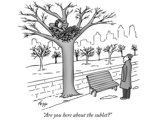 "Are you here about the sublet?"