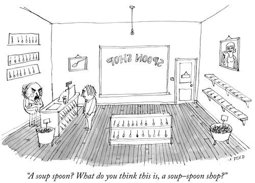 "A soup spoon? What do you think this is, a soup-spoon shop?"