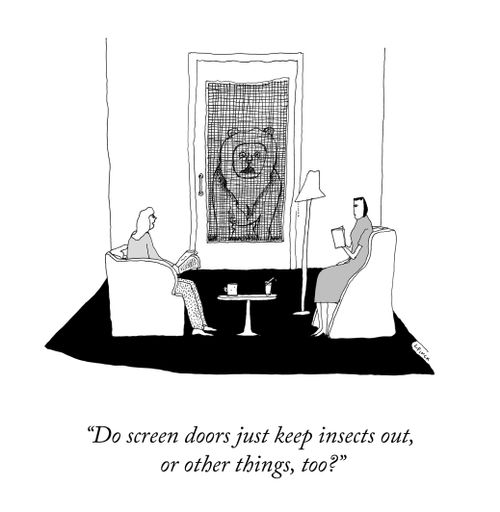 "Do screen doors just keep insects out, or other things too?"