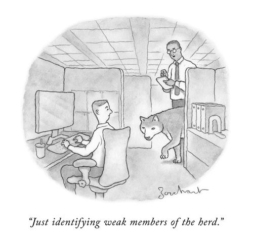 "Just identifying weak members of the herd."