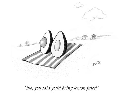 "No, you said you'd bring lemon juice!"