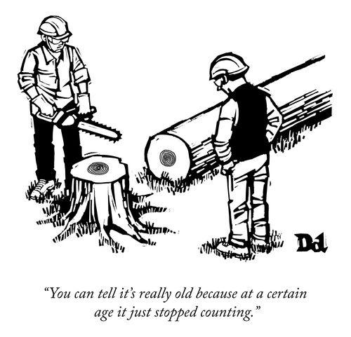 "You can tell it's really old because at a certain age it just stopped counting."