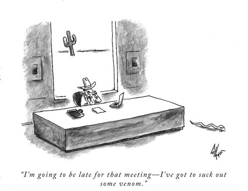 "I'm going to be late for that meeting – I've got to suck out some venom."