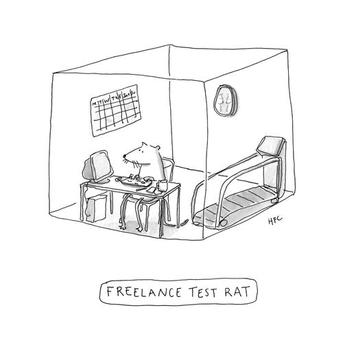 Freelance test rat
