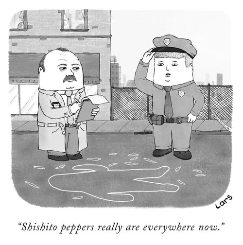 "Shishito peppers really are everywhere now."
