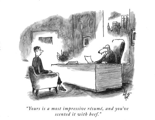 "Yours is a most impressive résumé, and you've scented it with beef."