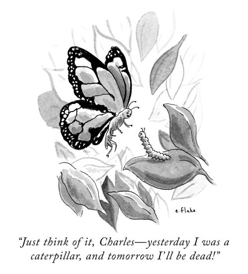 "Just think of it, Charles – yesterday I was a caterpillar, and tomorrow I'll be dead."