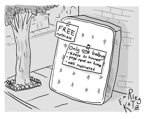 Free Mattress. 