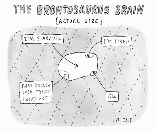 The brontosaurus brain {actual size}