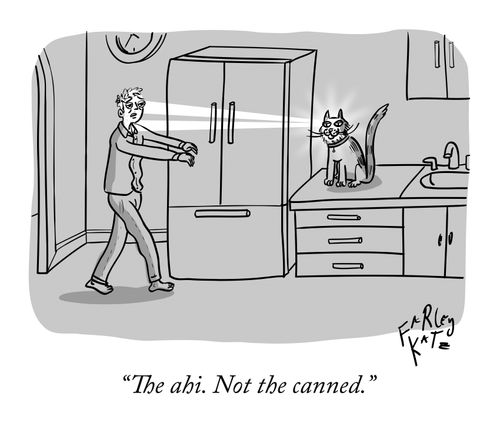 "The ahi. Not the canned."