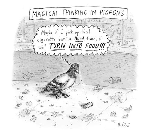 Magical thinking in pigeons 