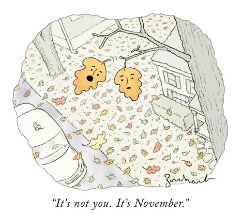 "It's not you. It's November."