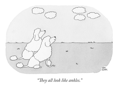 "They all look like ankles."