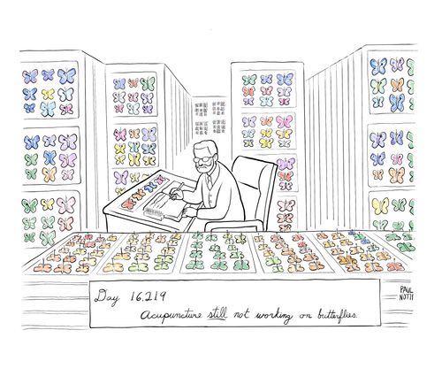 Day 16,219: Acupuncture still not working on butterflies