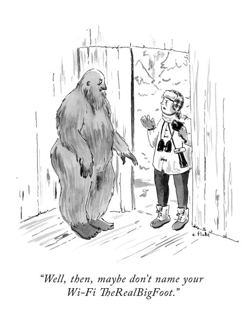 "Well, then, maybe don't name your Wi-Fi TheRealBigFoot."