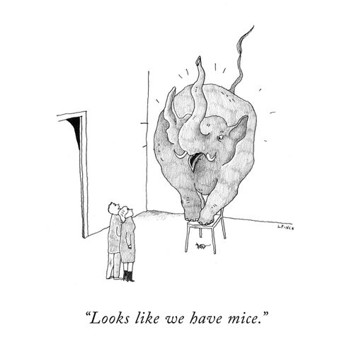 "Looks like we have mice."