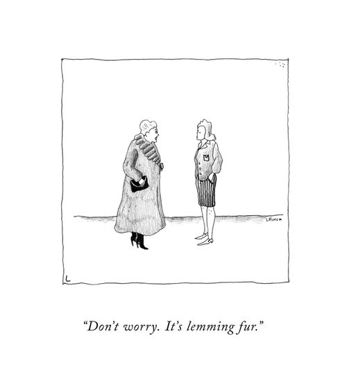 "Don't worry. It's lemming fur."