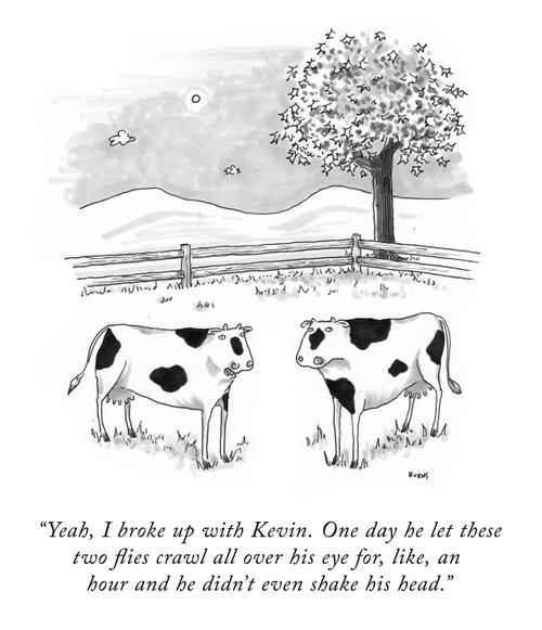 "Yeah, I broke up with Kevin. One day he let these two flies crawl all over his eye for, like, an hour and he didn't even shake his head."
