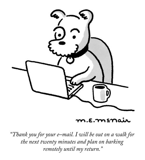 "Thank you for your e-mail. I will be out on a walk for the next twenty minutes and plan on barking remotely until my return."