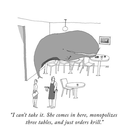 "I can't take it. She comes in here, monopolizes three tables and just orders krill."