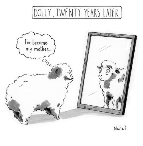 Dolly, Twenty Years Later