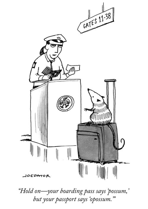 "Hold on -- your boarding pass says 'possum,' but your passport says 'opossum.'"