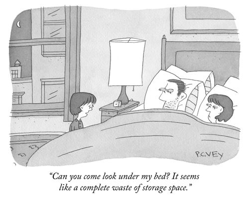 "Can you come look under my bed? It seems like a complete waste of storage space."