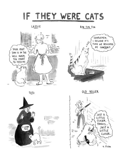 If they were cats