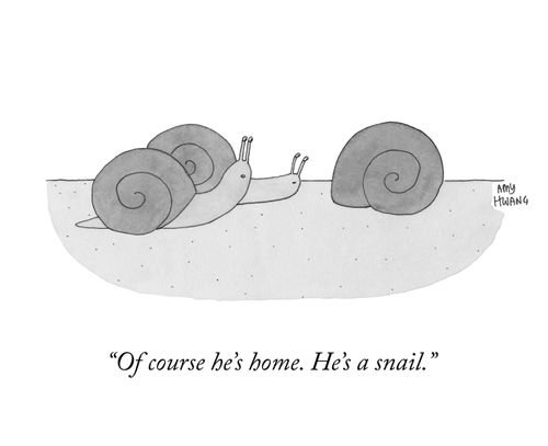 "Of course he's home. He's a snail."