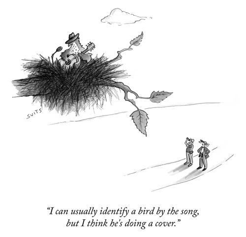 "I can usually identify a bird by the song, but I think he's doing a cover."