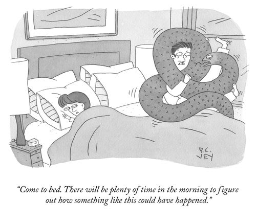 "Come to bed. There will be plenty of time in the morning to figure out how something like this could have happened."