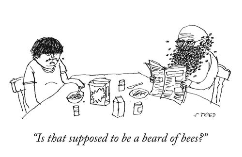 "Is that supposed to be a beard of bees?"