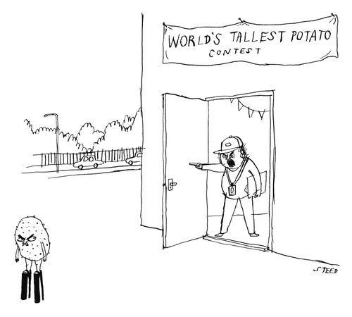 World's tallest potato contest