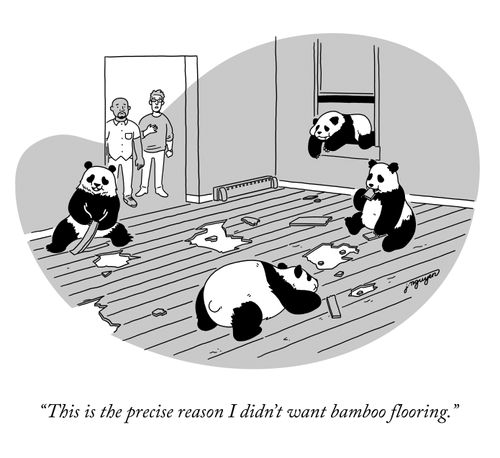"This is the precise reason I didn't want bamboo flooring."