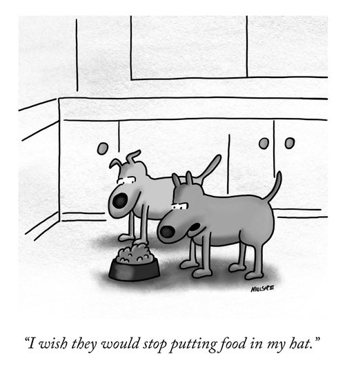 "I wish they would stop putting food in my hat."